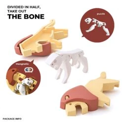 Lion - Savannah Friends