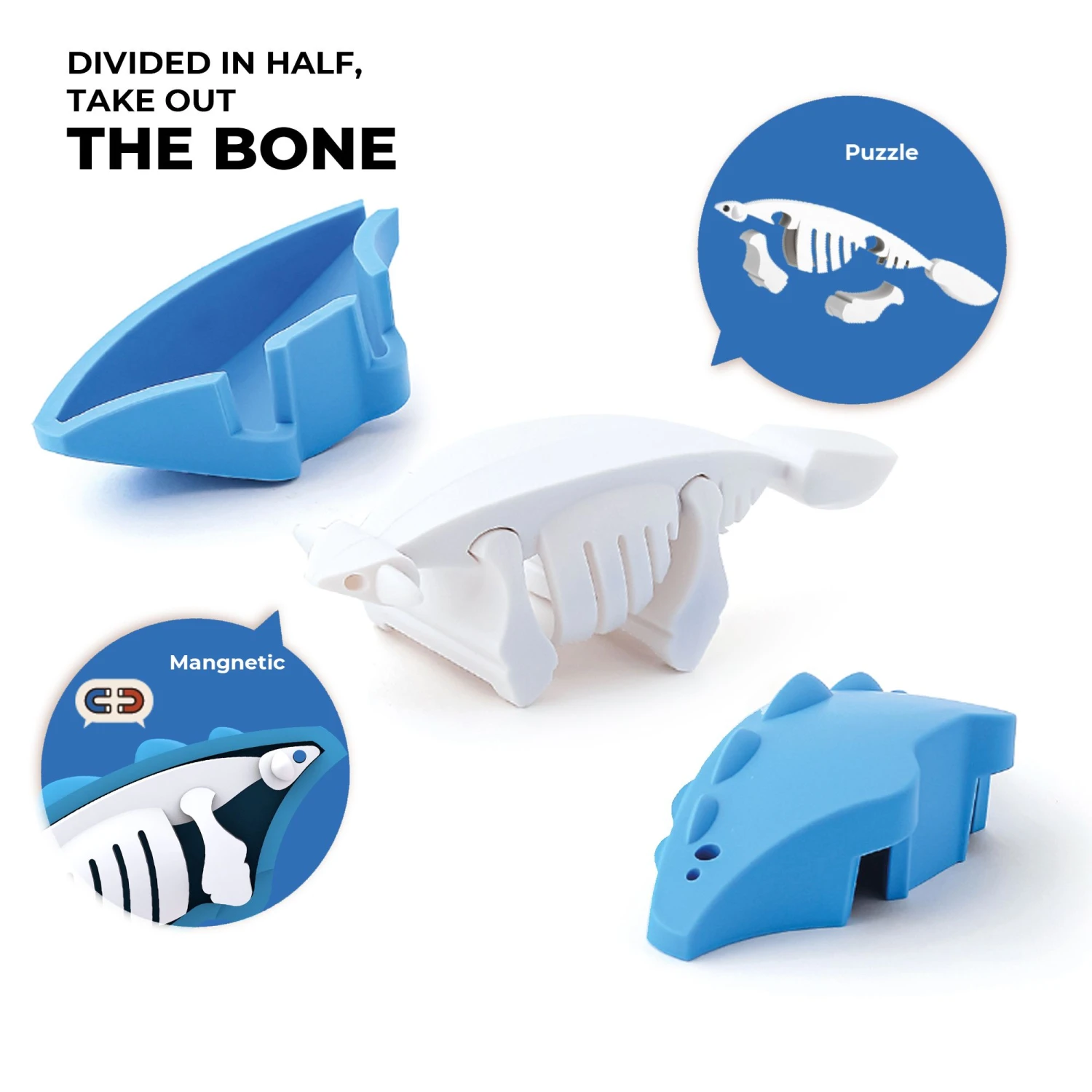 Ankylo - Dino Friends 1 Ankylo - Dino Friends